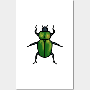 Beetle Posters and Art